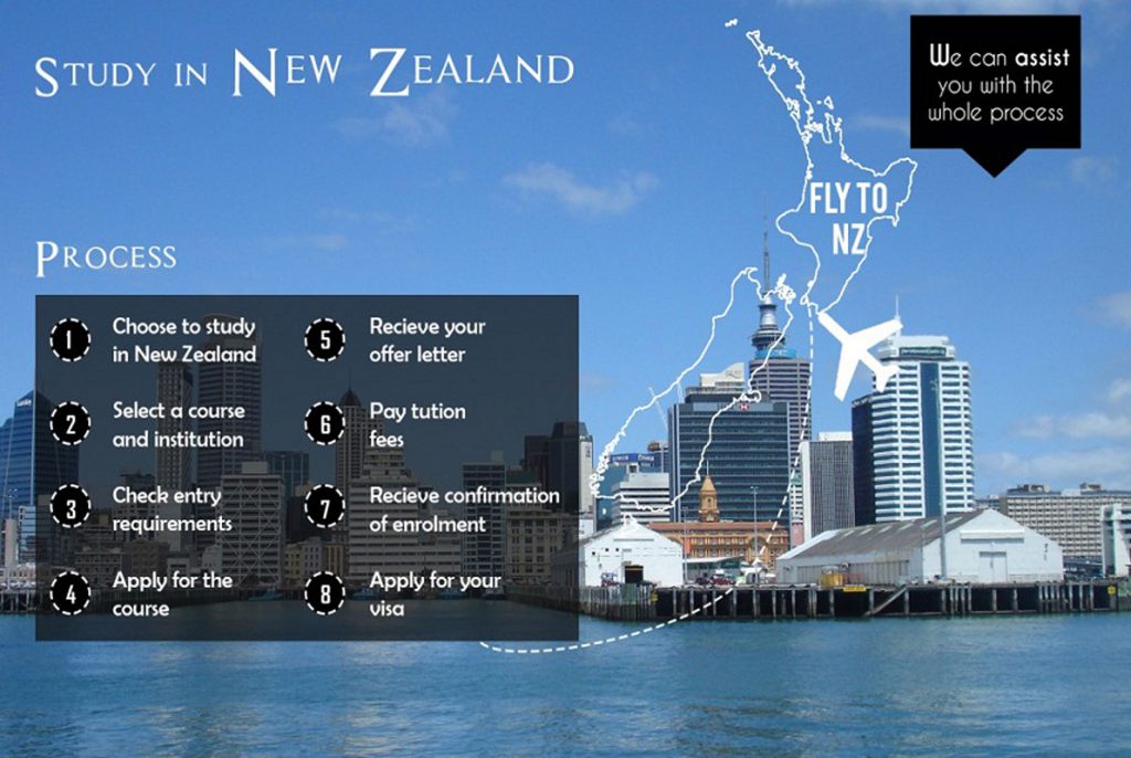 new-zealand-medical-healthcare-infographic-template-with-map-and